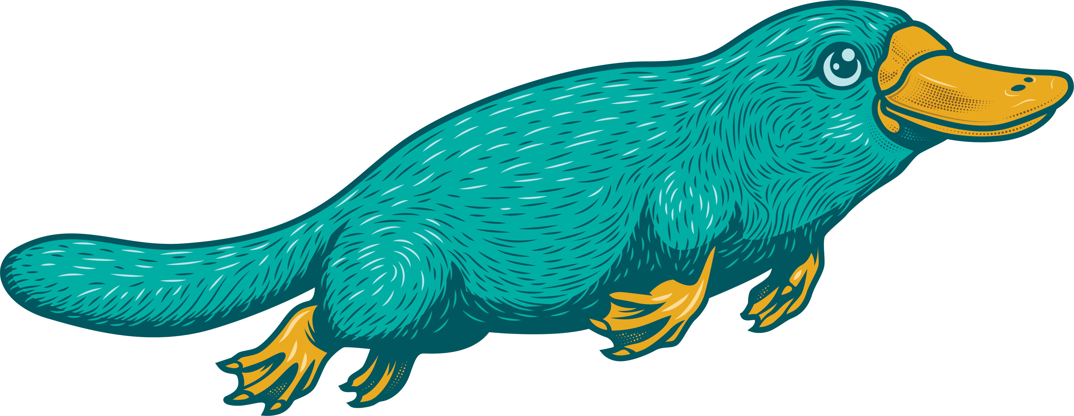 Gus. D. Platypus
